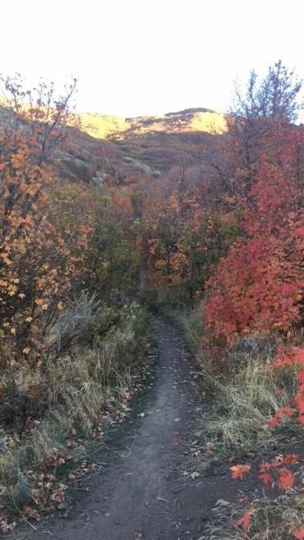 Stay & Play In The Little Switzerland Of Utah!!! Draper Eksteriør bilde